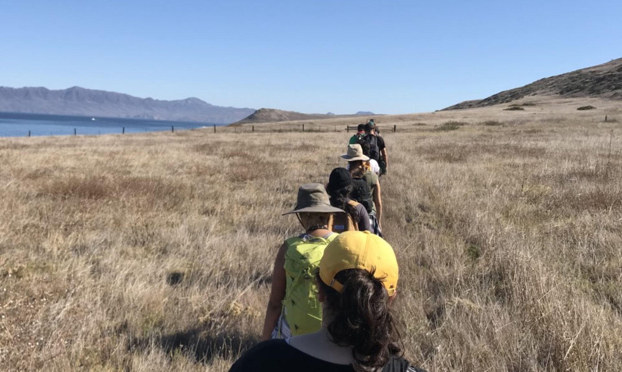 Santa Rosa Island: Gateway to Expression