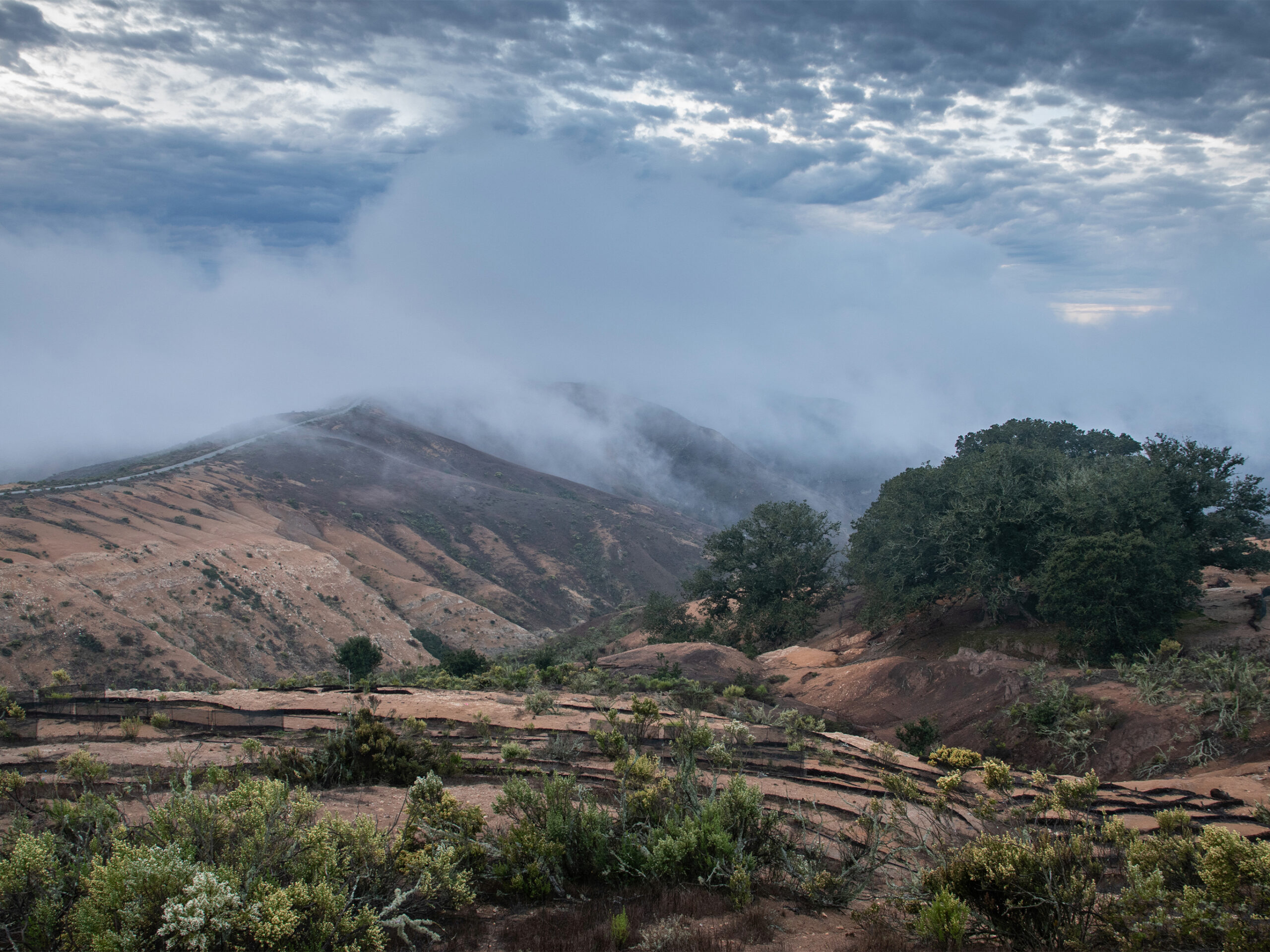 Santa Rosa Island: Gateway to Expression
