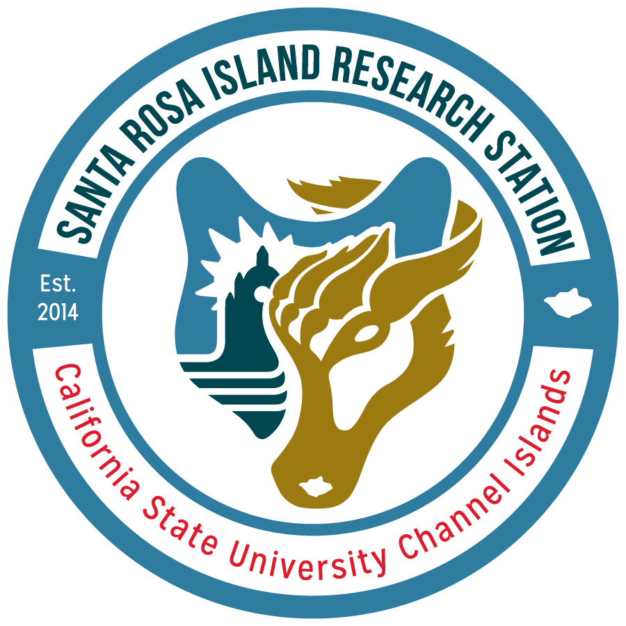 Santa Rosa Island: Gateway to Expression